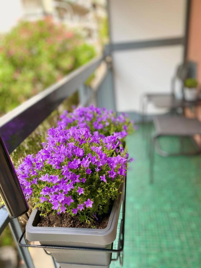 Bella Vacanza - City Center -Air Conditioning -Wi-Fi Rapallo Exterior photo
